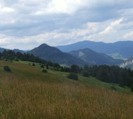 Pieniny