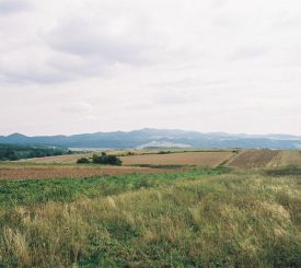 Gry Bardzkie
