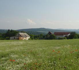 Gry Wabrzyskie